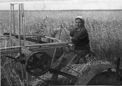 Колхозница М.Е. Тюрина за уборкой урожая конной лобогрейкой на полях колхоза "Ленинский луч". Фото Лашманов. 1945 год