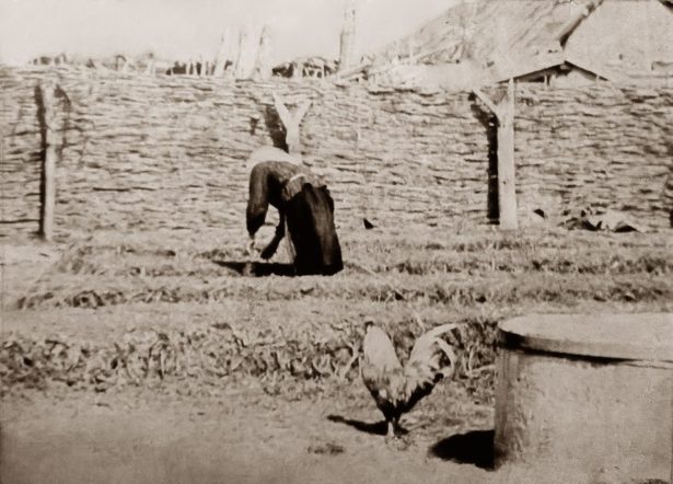 Казачка Александра Васильевна Воробьева (1891 — 24.03.1980) в огороде на дворе своего приусадебного участка на улице Салавата Юлаева