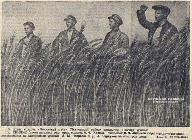 На полях колхоза "Ленинский путь" (Чкаловский район) ожидается высокий урожай. Фото В. Лашманова. Источник: "Чкаловская коммуна" 2 июля 1940 года.