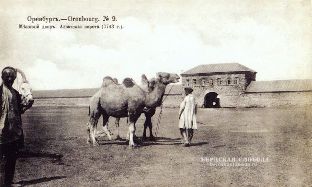 Верблюды, Меновой двор, Оренбург, конец XIX века