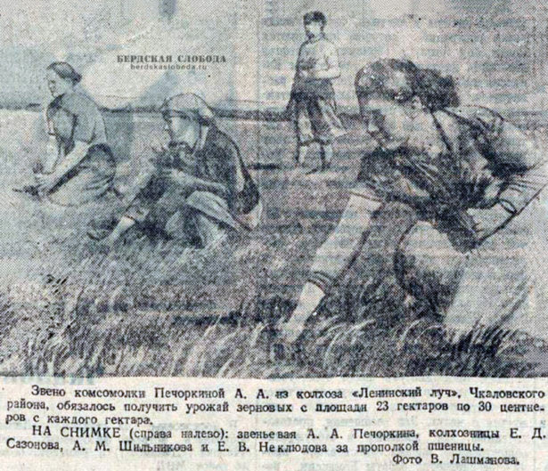 В конце весны - начале лета 1947 года страницы оренбургских газет пестрили заголовками, объединенной общей темой "Битва за урожай".