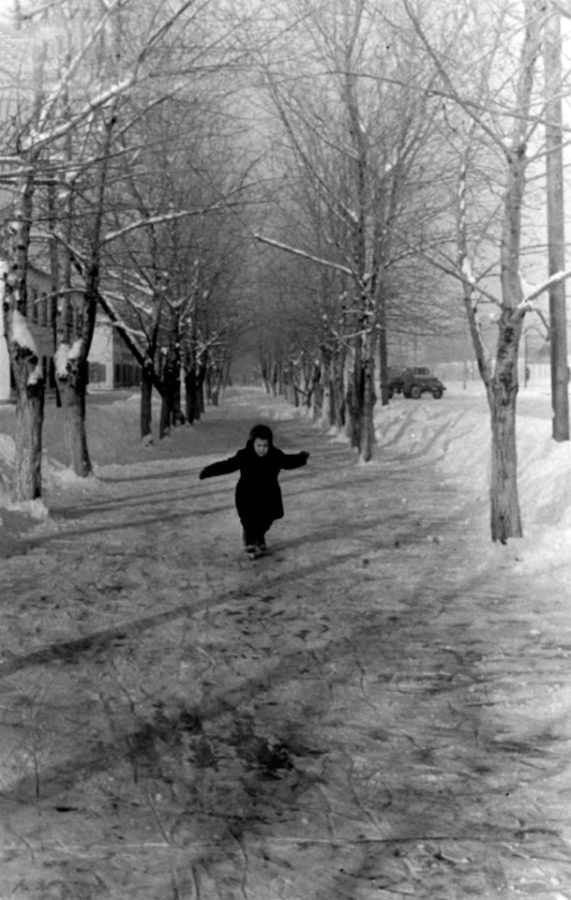 Вдоль всех «стандартных домов» тянулась тополевая аллея. Зимой там можно было и на коньках кататься (1962 год).