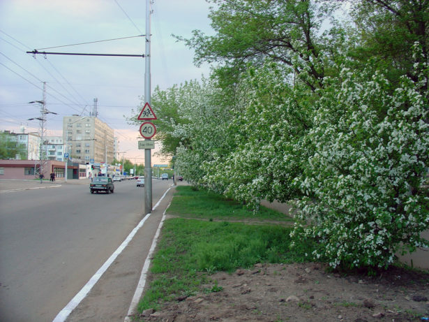 Современная Туркестанская улица. Автор: Дмитрий Урбанович