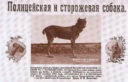 Оренбургский отдел Общества поощрения собак к полицейской и сторожевой службе