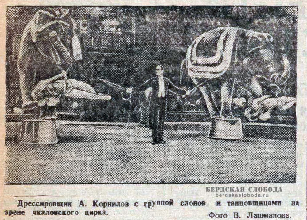 Оренбургский цирк 1