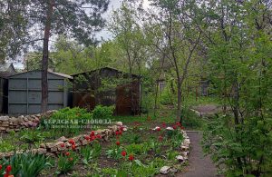 Вид из дома №14 на площади Динамо на цирк и жилой дом №61 на улице Кобозева, Фото: Галина Егорова, 1 мая 2025 года