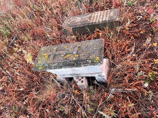 Старинные надгробия на кладбище бывшего села Гнездовка.