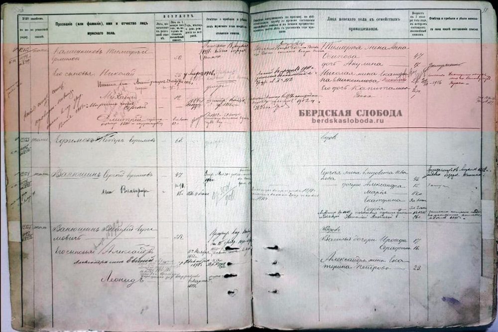Страницы из архивного дела «Посемейные списки мещан г. Оренбурга» с №11962 по №13041 за 1895-1917 гг. [ОГАОО, ф. 42, оп. 1, д. 737, лл. 50б.-51.].
