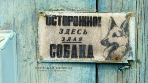 Но самая яркая деталь этой калитки — жестяная табличка «Осторожно! Здесь злая собака».